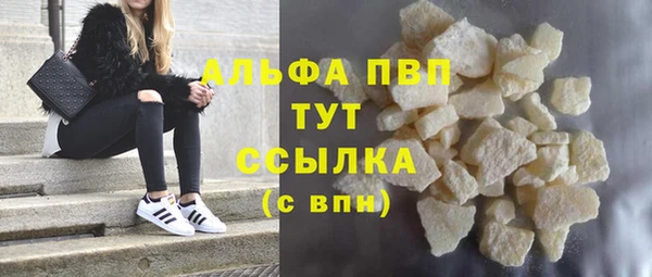 стафф Бородино