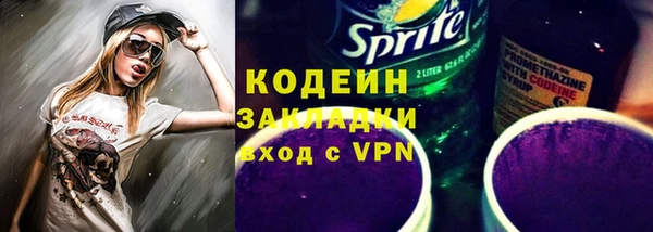 прущие грибы Бронницы