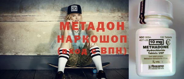 прущие грибы Бронницы