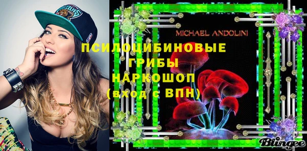прущие грибы Бронницы
