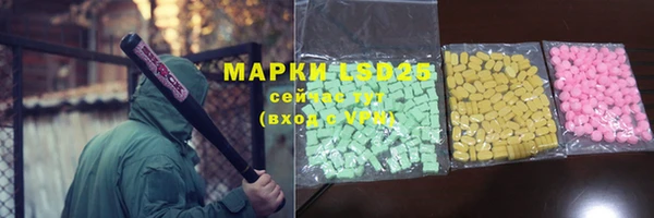 стафф Бородино