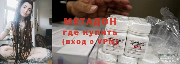 прущие грибы Бронницы