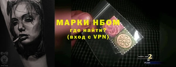 стафф Бородино