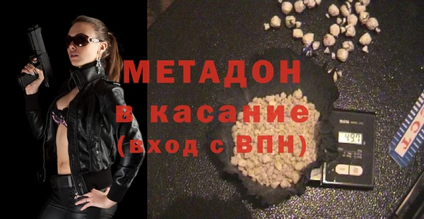 прущие грибы Бронницы