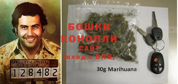 прущие грибы Бронницы