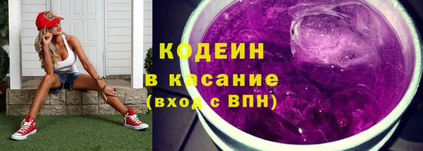 стафф Бородино