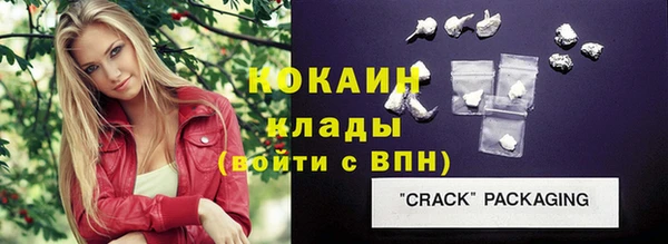 стафф Бородино