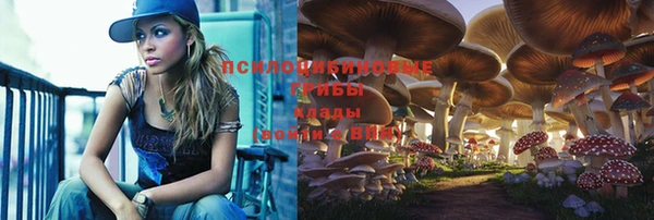 трава Бугульма