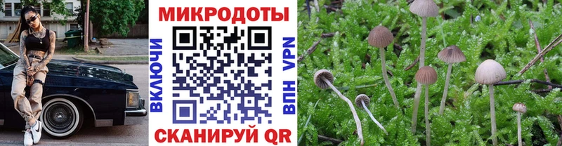 Псилоцибиновые грибы прущие грибы  Бугуруслан 